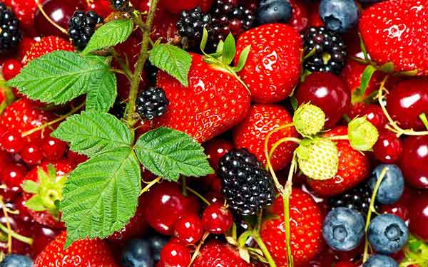 تصویر شماره دو-8 تصویر دو-8